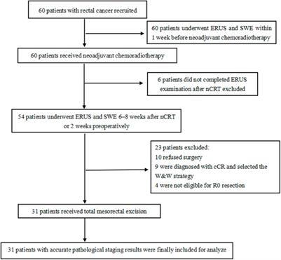 A prospective study on using shear wave elastography to predict the ypT0 stage of rectal cancer after neoadjuvant therapy: a new support for the watch-and-wait approach?